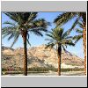 En Gedi, palm trees and mountains.jpg